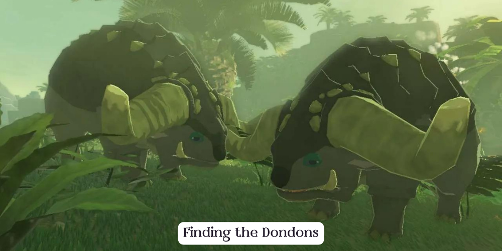 Finding the Dondons